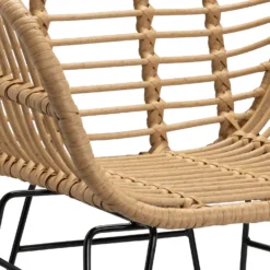 Ronnie Rattan Dining Chair - Set Of 2 -Furniture Shop 13644186 1804997056966623