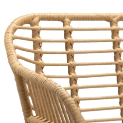 Ronnie Rattan Dining Chair - Set Of 2 -Furniture Shop 13644186 6854997056909860