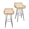 Ronnie Rattan Bar Stool - Set Of 2 -Furniture Shop 13863935 5725023398892233